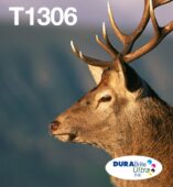 dcs-989886161-1-10a0626879.jpg