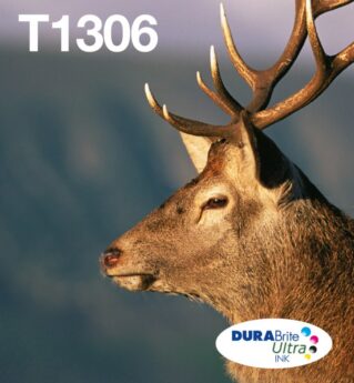 dcs-989886161-1-10a0626879.jpg