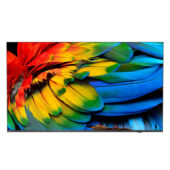 Televiisor Philips 50HFL6214U/12 LED 50” 4K Ultra HD Android