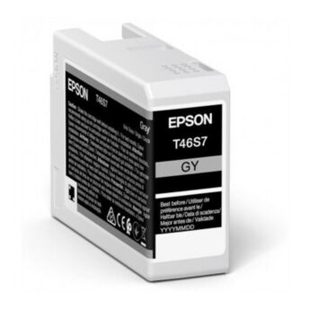 excelsior-1612365-1
