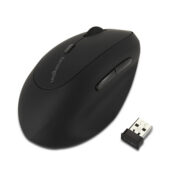 excelsior-1612502-1