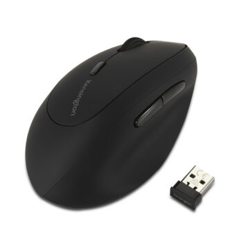 excelsior-1612502-1