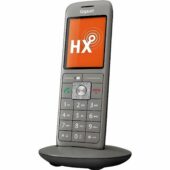 excelsior-1614237-1