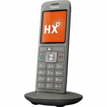 excelsior-1614237-1