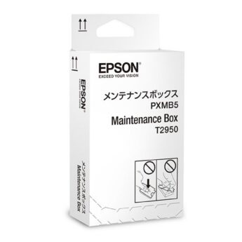 lp-iepb295000dg_1.jpg