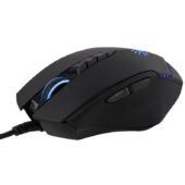 excelsior-1618364-1