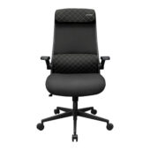 excelsior-1618431-1
