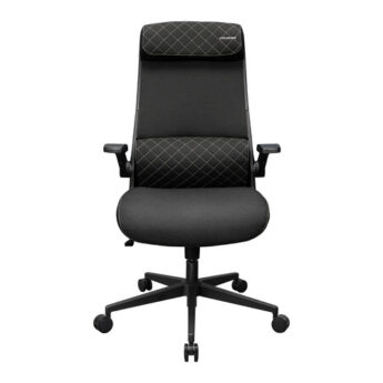 excelsior-1618431-1