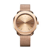 excelsior-1620360-1