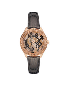 excelsior-1621259-1