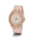 excelsior-1621524-1