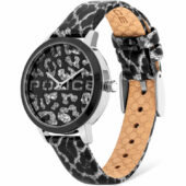 excelsior-1622687-1