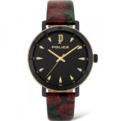 excelsior-1622699-1