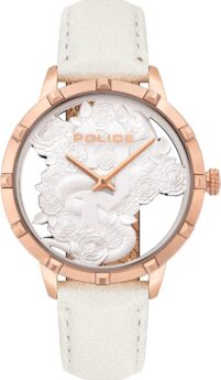 excelsior-1622704-1