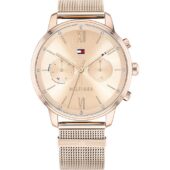 excelsior-1623031-1