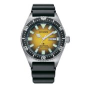 excelsior-1624139-1