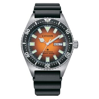 excelsior-1624140-1