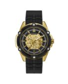 excelsior-1624159-1