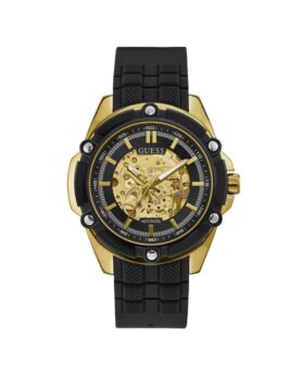 excelsior-1624159-1