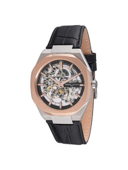 excelsior-1624346-1