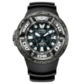 excelsior-1624380-1