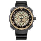 excelsior-1624384-1