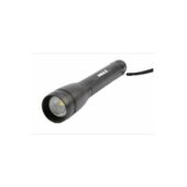 excelsior-1624404-1