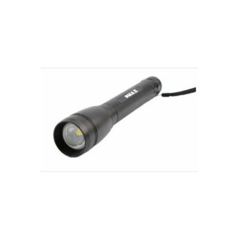 excelsior-1624404-1