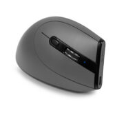 excelsior-1624420-1