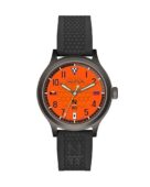 excelsior-1624545-1