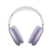 excelsior-1625168-1