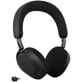 excelsior-1625203-1