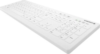 excelsior-1628812-1