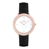excelsior-1630791-1